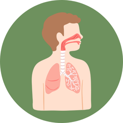 Respiratory Diseases
