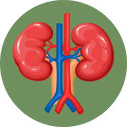 Kidney Disease