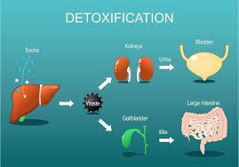 Detoxification