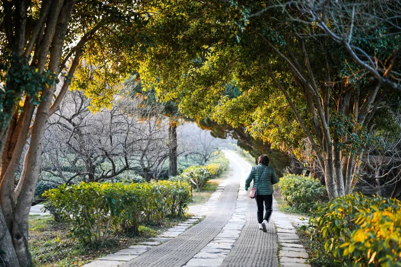 Why Moving a Little Every Day Will Always Beat Going Hard Once a Week